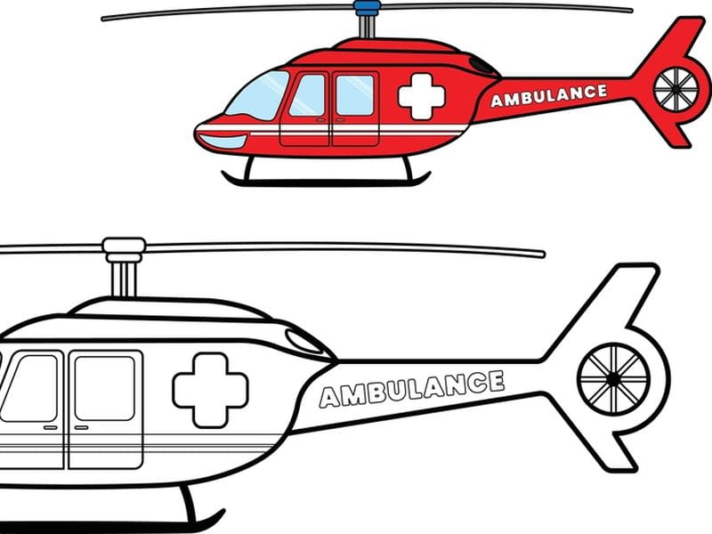 Air Ambulance Service Delhi