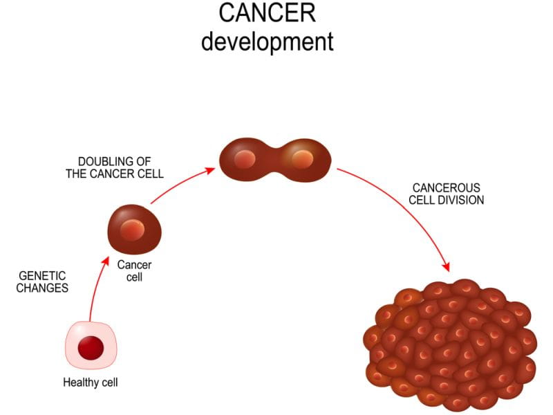 What Causes Cancer