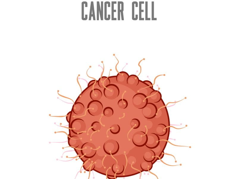Cancer Causes