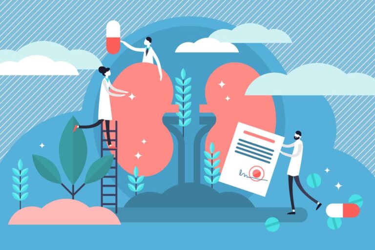 Kidney Transplant Cost In Chennai