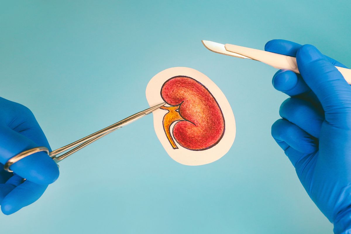 Kidney Transplant Cost In Mumbai & Best Hospitals For It