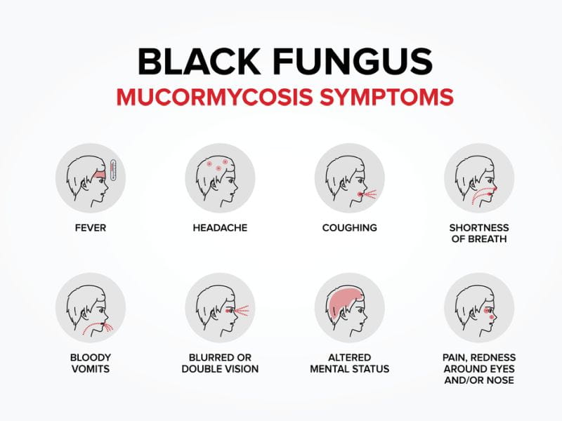 Black Fungus Medicine In India