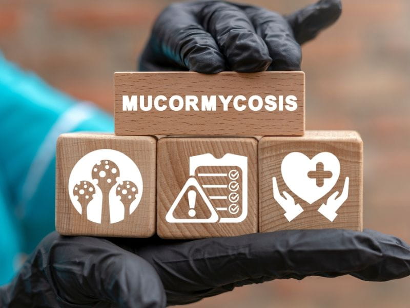 Black Fungus Treatment Cost In India