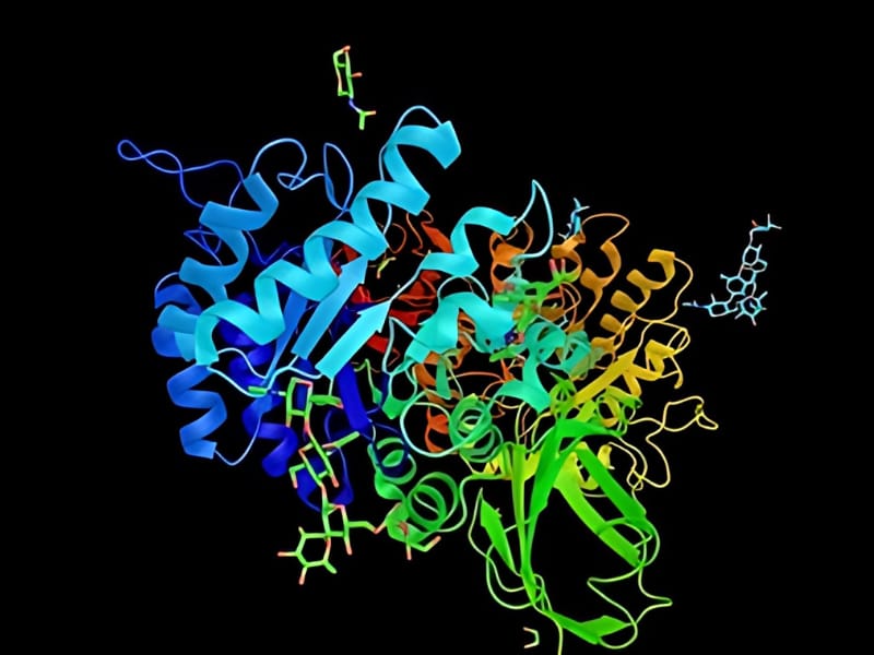 Fabry Disease Enzyme Deficiency