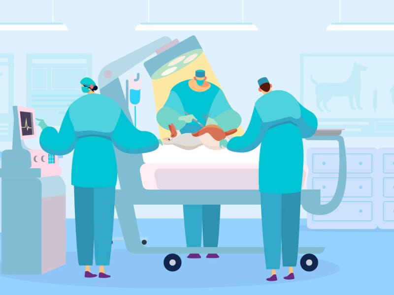 Vascular Surgery Meaning