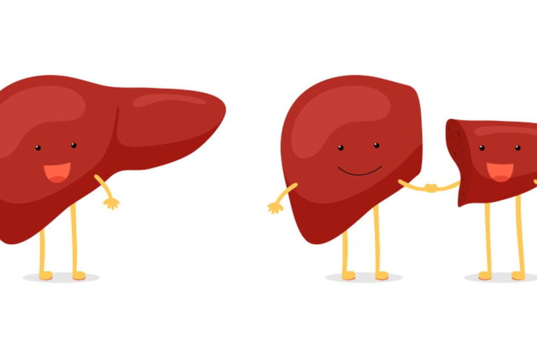 Liver Transplant Cost In Coimbatore