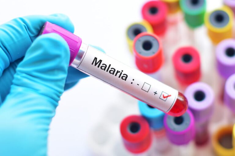 Malaria Treatment