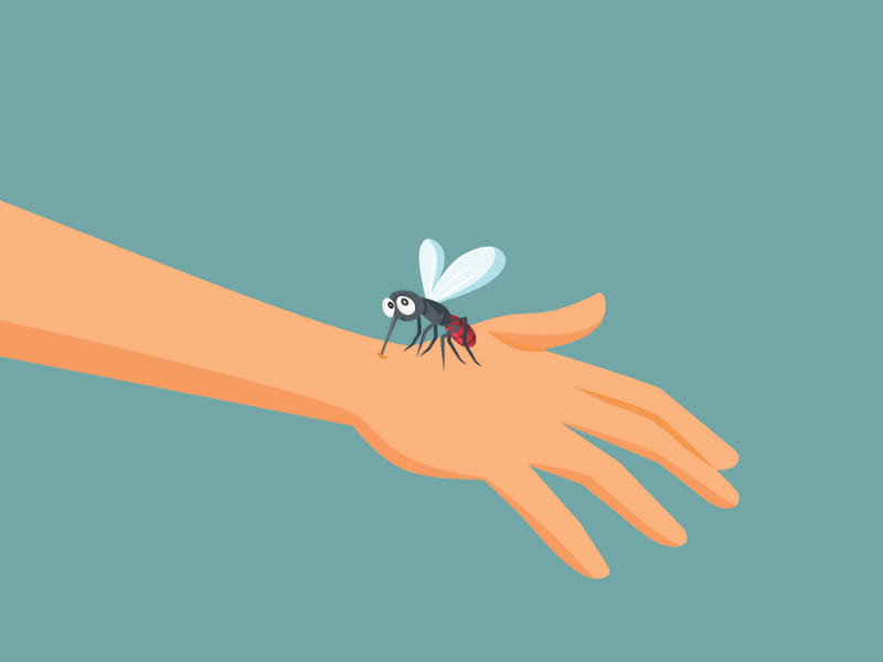 Treatment Of Malaria