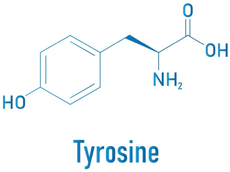 Tyrosinemia Type 2