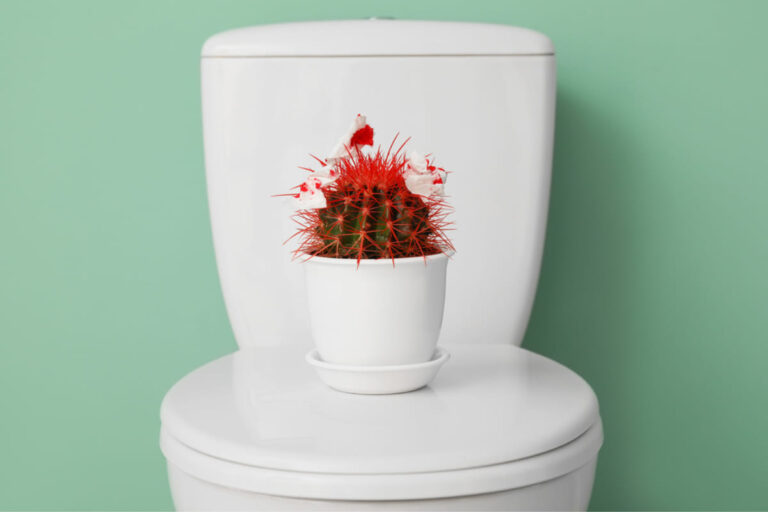 Piles Laser Treatment Cost In Kolkata