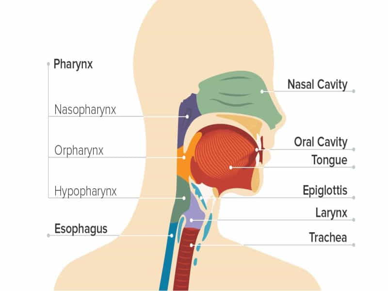Hypopharyngeal Cancer Staging