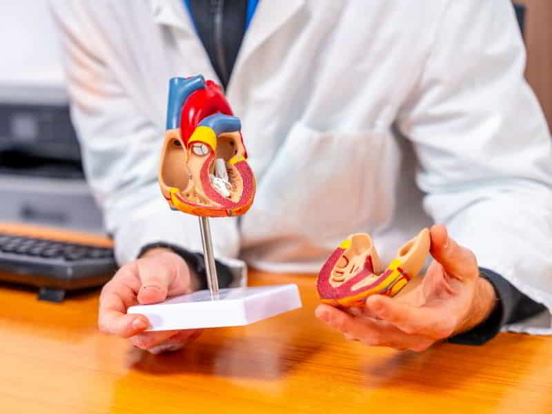 Tetralogy Of Fallot Causes