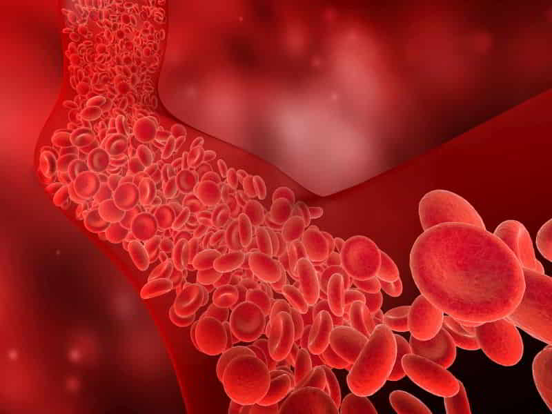 Hypoproteinemia Symptoms