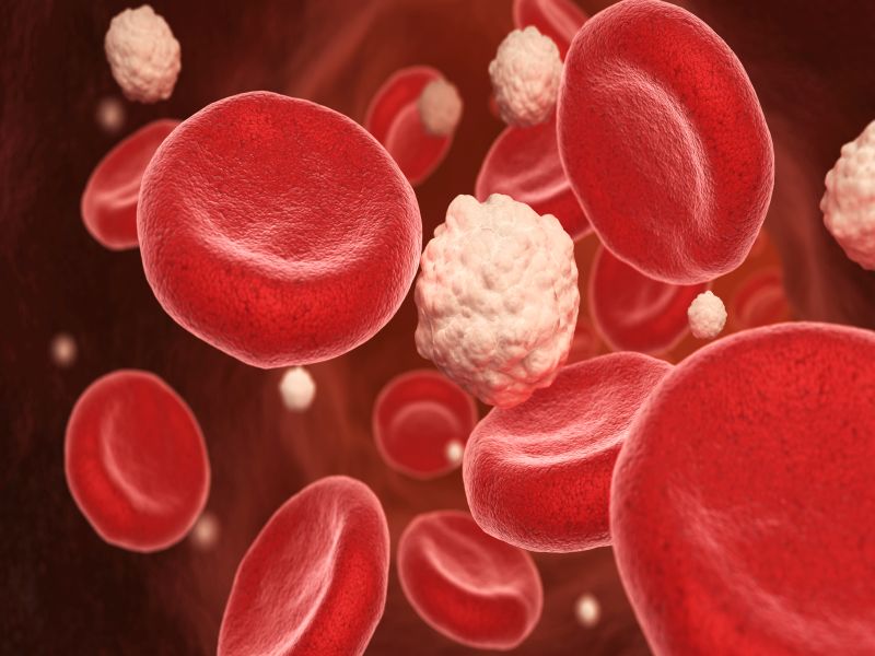 Platelets In Hindi