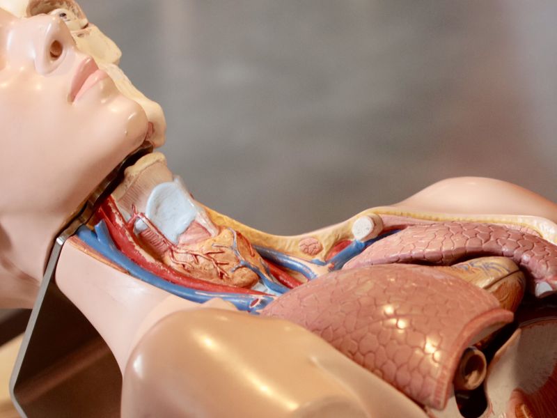 Thyroid Symptoms
