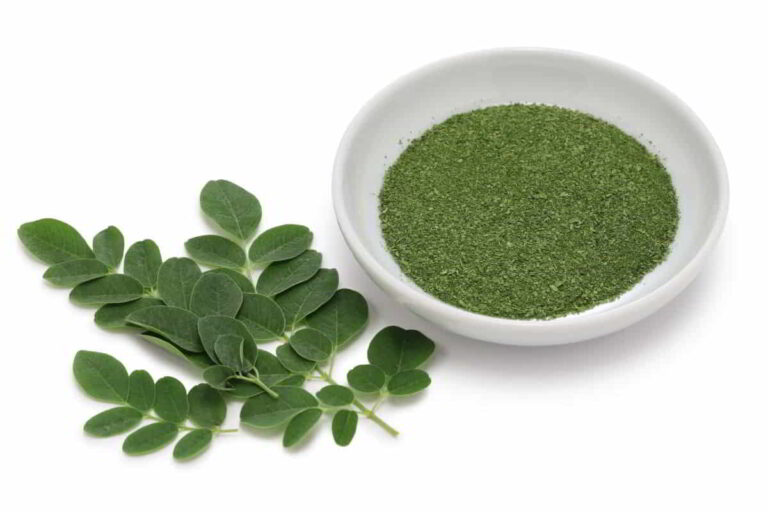 Moringa Powder Benefits