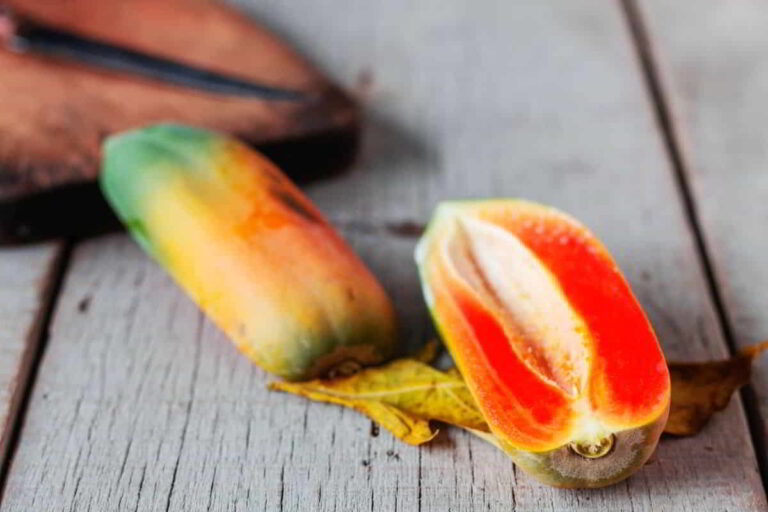 Papaya Benefits