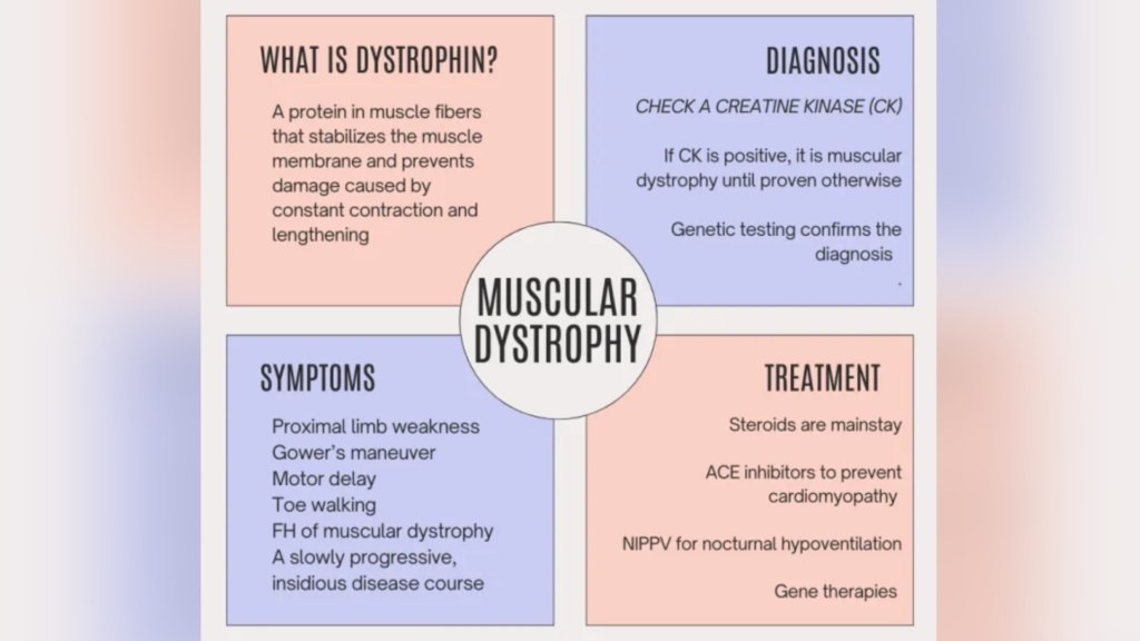 Duchenne Muscular Dystrophy- Infographic