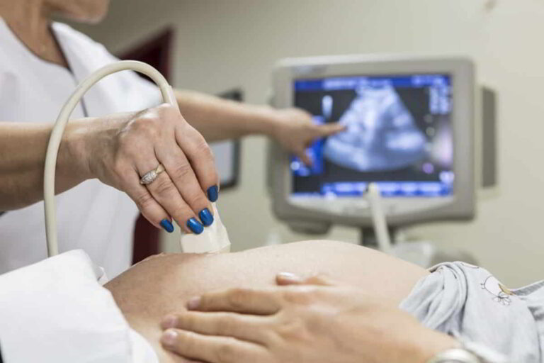 Fetal Echocardiography Test Price