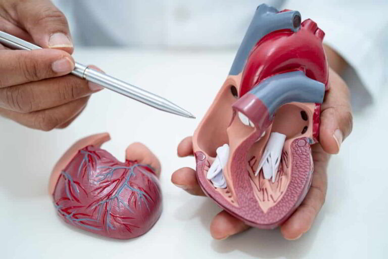 TAVR Cardiac Procedure