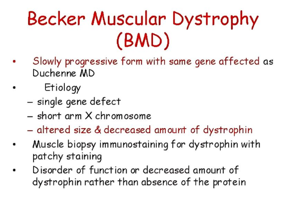 Becker Muscular Dystrophy, Impact Guru