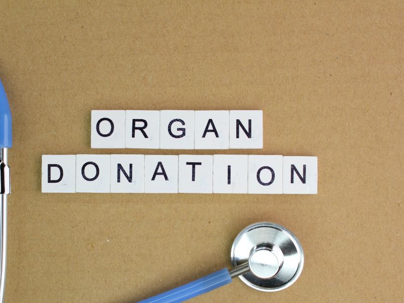 Organ Donor Meaning