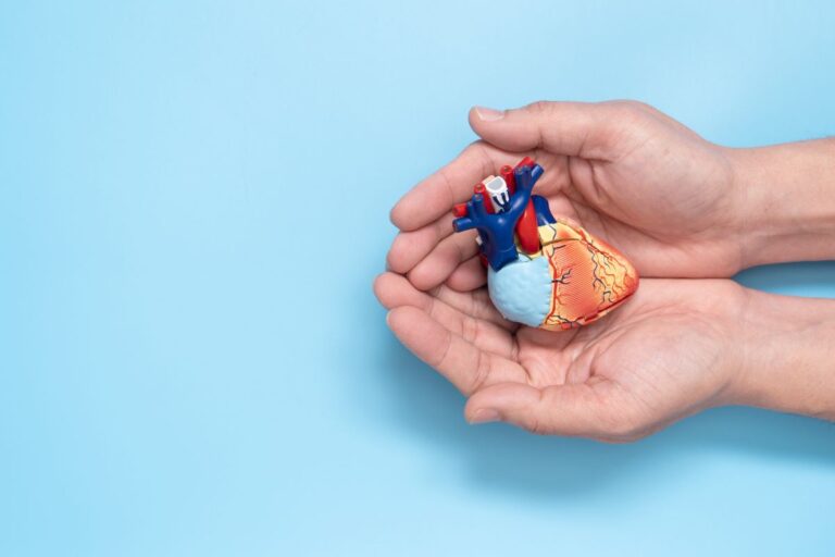 Cost of Heart Transplant in Noida