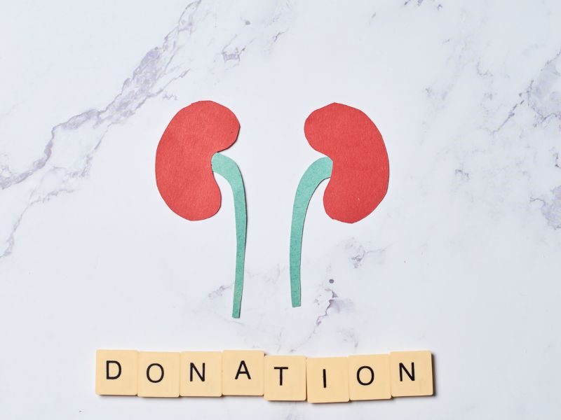 Who Can Donate a Kidney