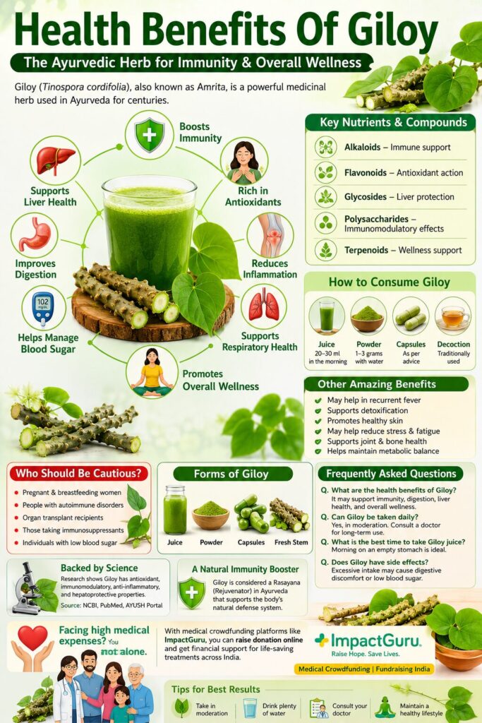 Health Benefits Of Giloy, Impact Guru