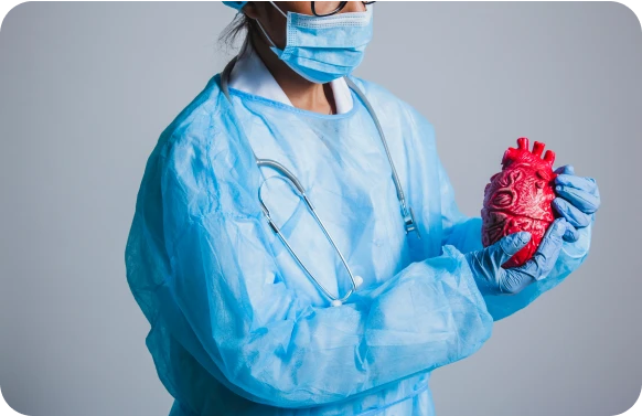 Doctor holding heart model