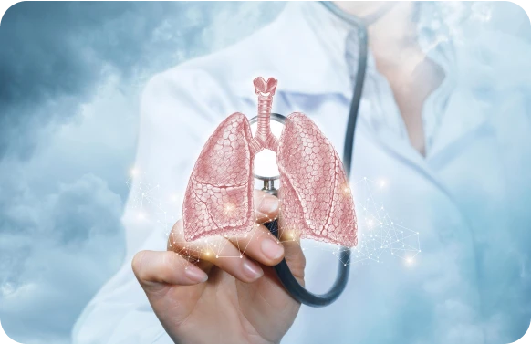 Doctor holding lung model